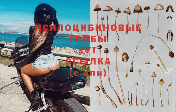 скорость Верея
